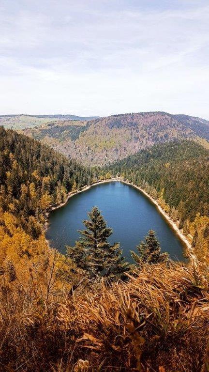 De Montagne 
