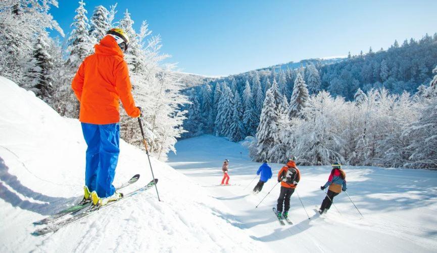 Holiday home De Montagne 
